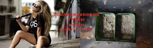 спайс Алексин
