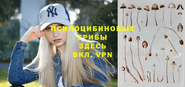 спайс Алексин