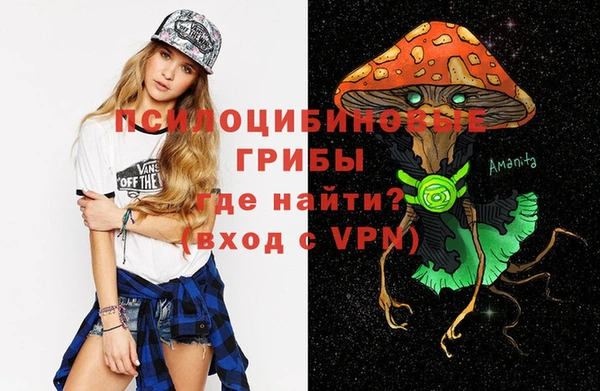 спайс Алексин