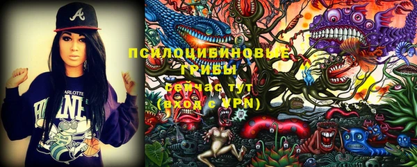 спайс Алексин